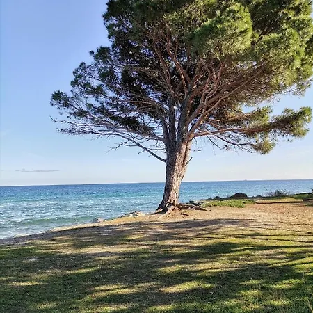 Esperanza