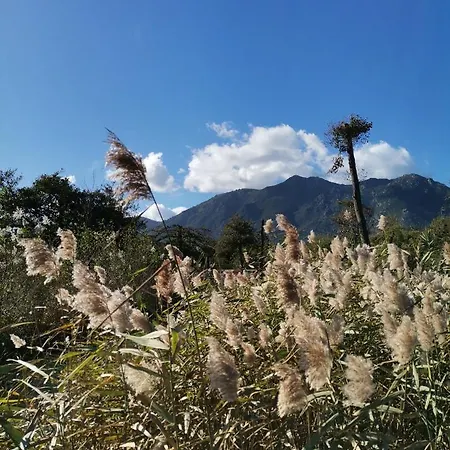 Appartamento Esperanza *