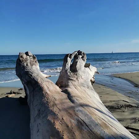 Apartment Esperanza *