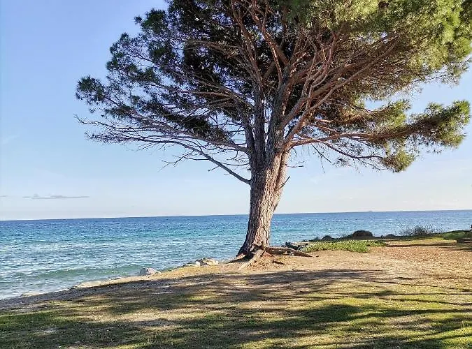Esperanza