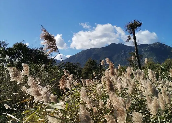 Apartmán Esperanza *